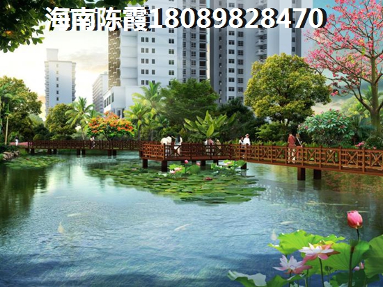 海南醉佳買房城市