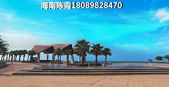 為什么還沒買到海棠中央的房子？