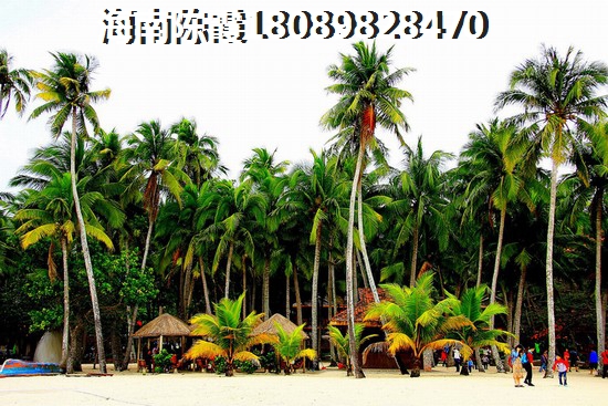 ?？谌A彩華寓可以生紙嗎