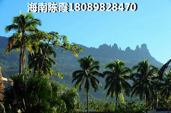 海南中基美域戶型圖