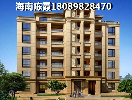 海南中基美域VS海南·福里分析對(duì)比