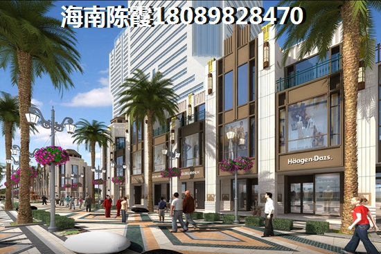 海南海南中基美域