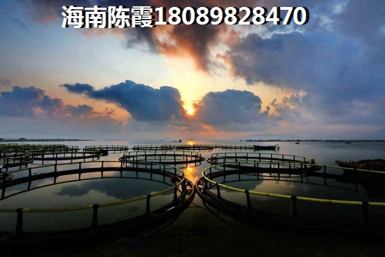 >2020海口買房分析