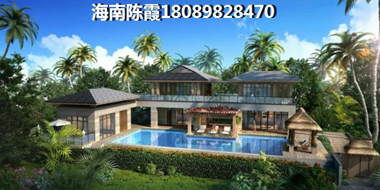 海南?？诮鹈阑▓@