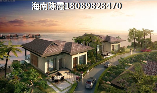 乾坤湖VS麓鳴海分析對比