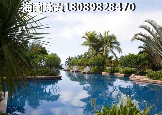 海南中基美域