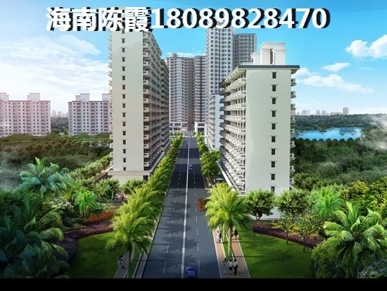 海南?？诜孔游磥砀堝X