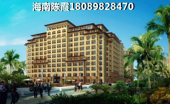 海口二手房touzi解析
