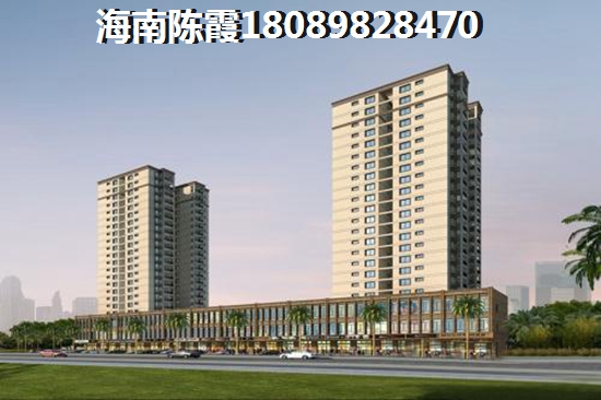 海南?？谑形磥淼陌l(fā)展將會是怎樣？
