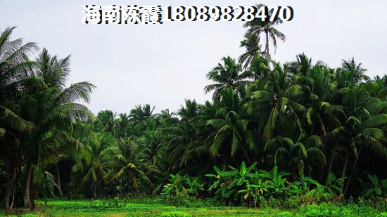 恒大·?；◢u（中國海南海花島）房產(chǎn)XG政策是什么？